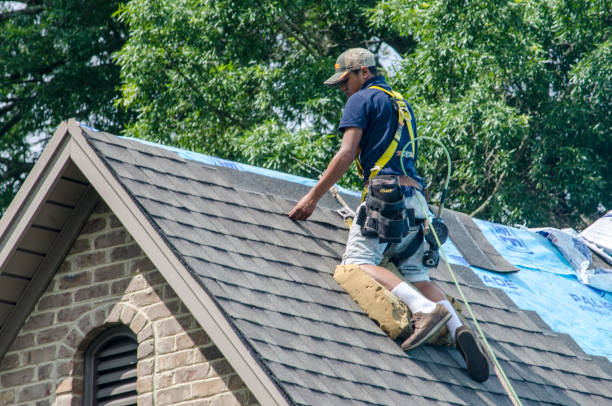 Best Roof Gutter Cleaning  in Four Corners, MD